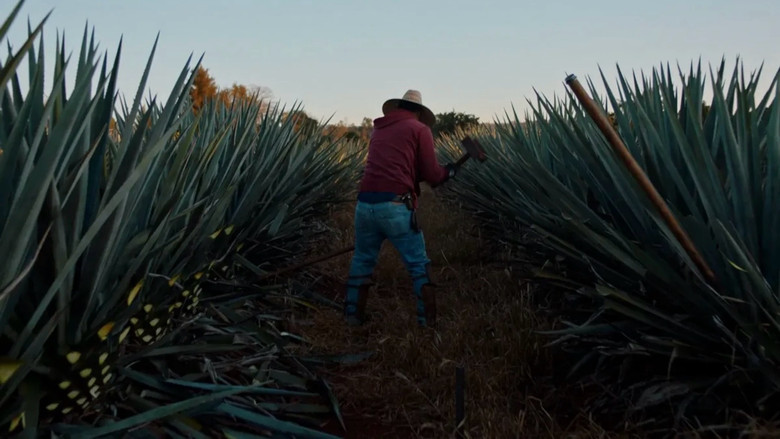 кадр из фильма Dos Estaciones