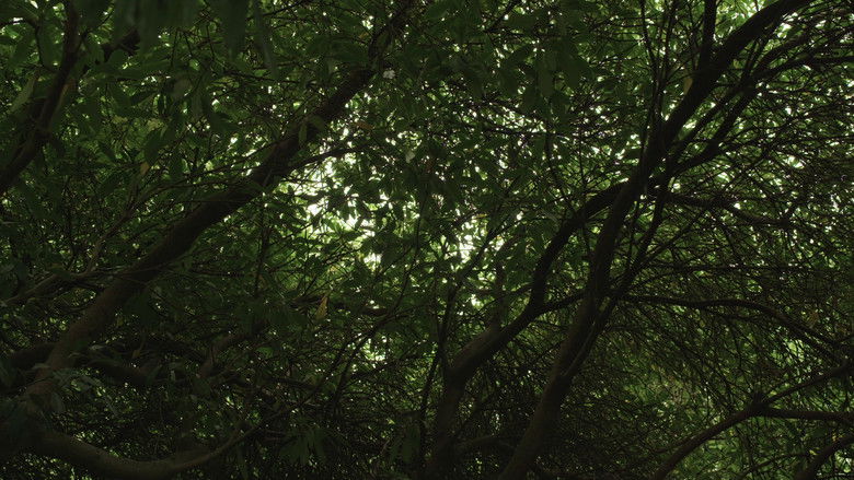 кадр из фильма Le Plus Terrible Pouvoir Qui Soit