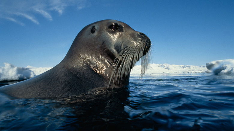 кадр из фильма Symphony for Our World