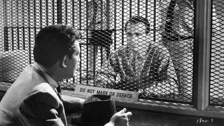 кадр из фильма Behind the High Wall