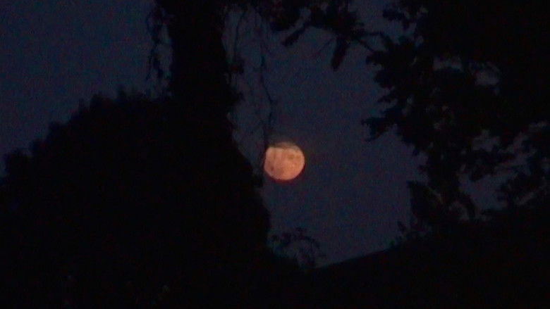 кадр из фильма Rebelote