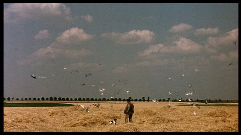 кадр из фильма Счастливчик Александр