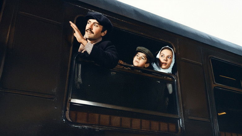 кадр из фильма Gelin