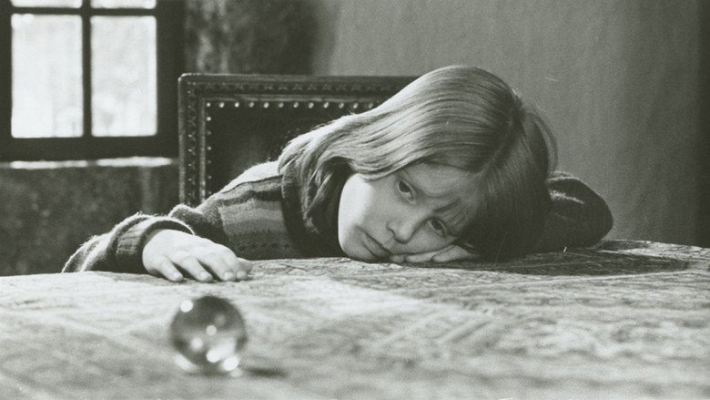 кадр из фильма Árnyék a havon