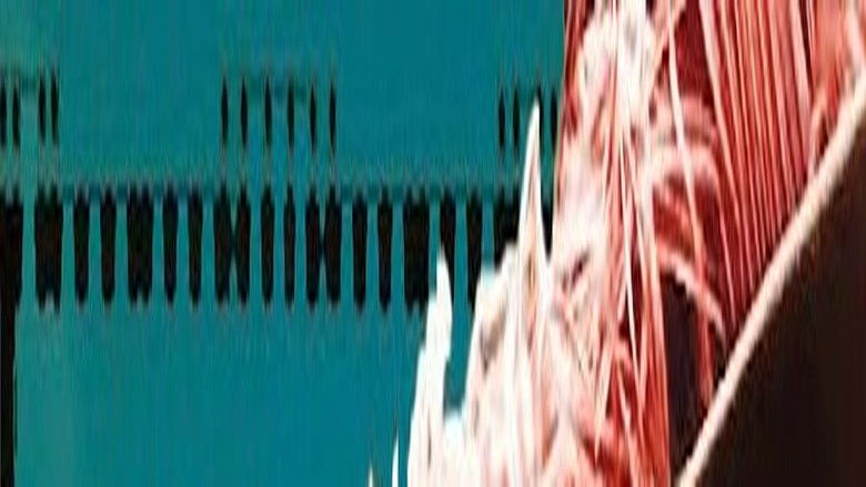 кадр из фильма Building Versailles: A King’s Obsession For Magnificence | Rise & Fall Of Versailles | Real Royalty