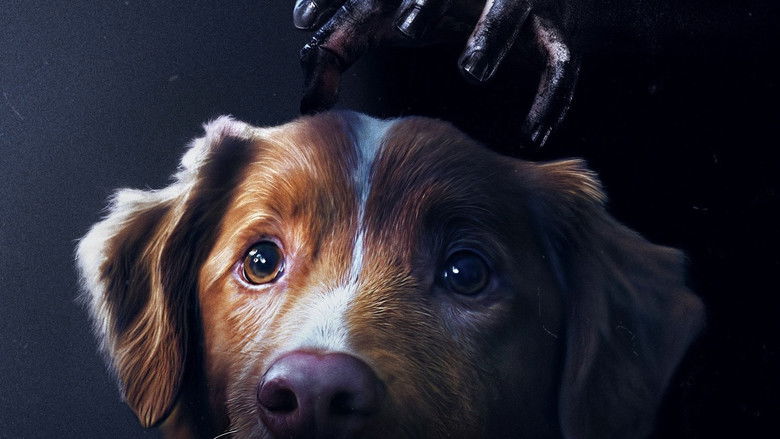 кадр из фильма Хороший мальчик