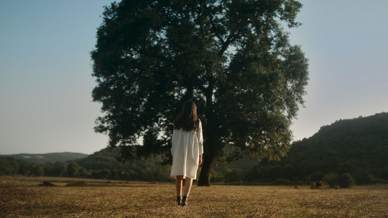 кадр из фильма Defne