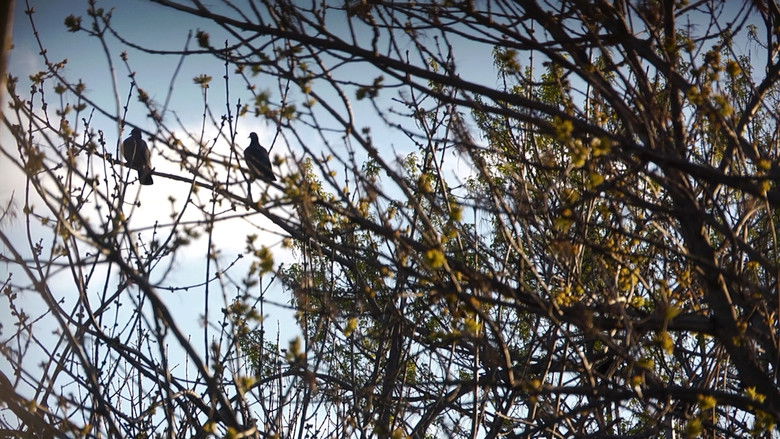 кадр из фильма Ni siquiera las flores