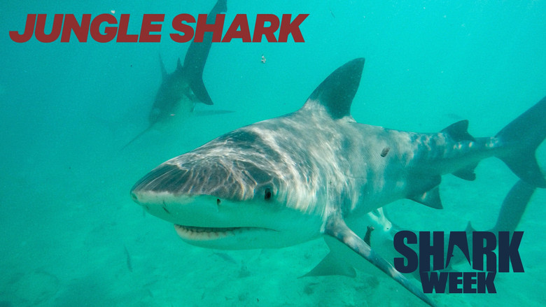 кадр из фильма Jungle Shark