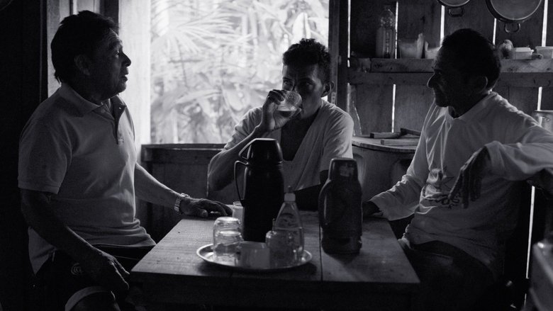 кадр из фильма O Reflexo do Lago