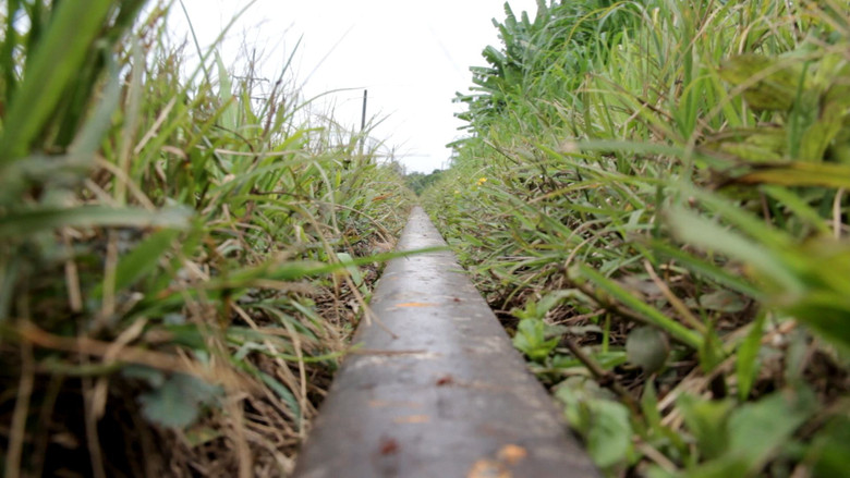 кадр из фильма El Codo del Diablo