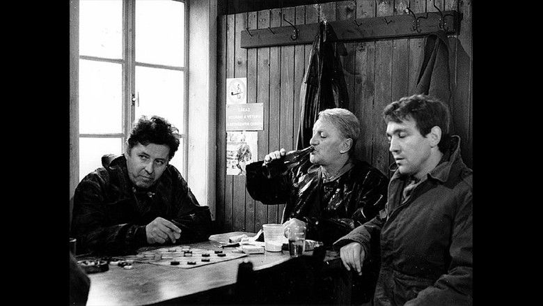 кадр из фильма Zlá noc