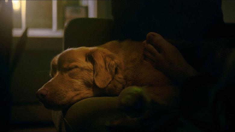 кадр из фильма Хороший мальчик