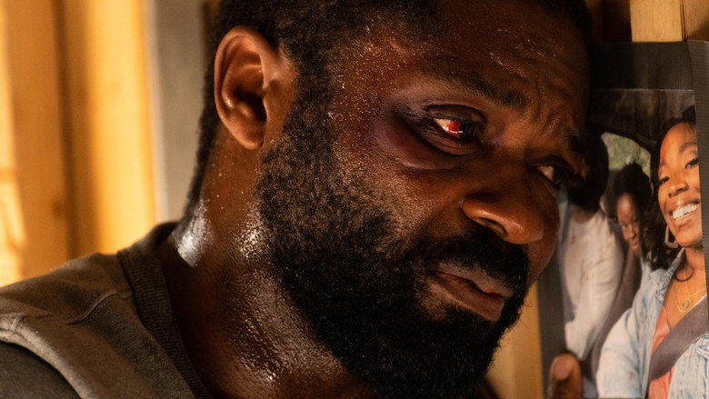 кадр из фильма Newborn