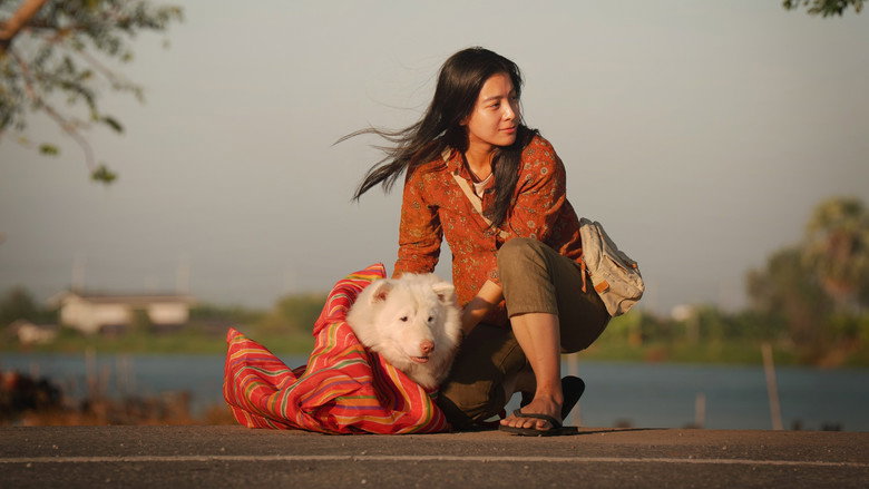 кадр из фильма โกฮัง..หัวใจโกโฮม