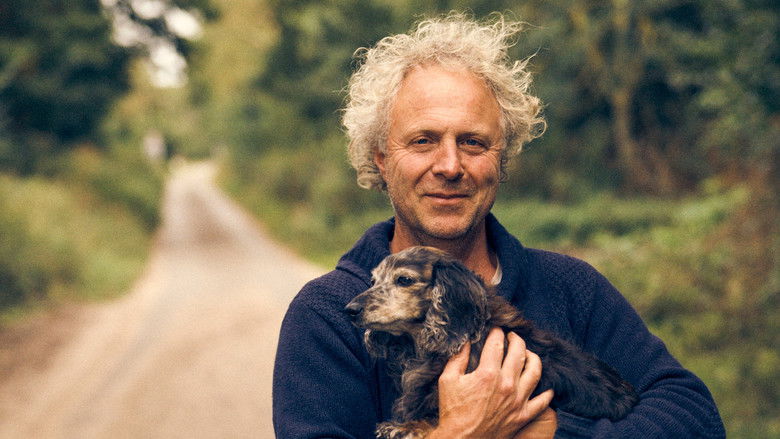 кадр из фильма Charlie Mackesy: The Boy, the Mole, the Fox, the Horse and Me