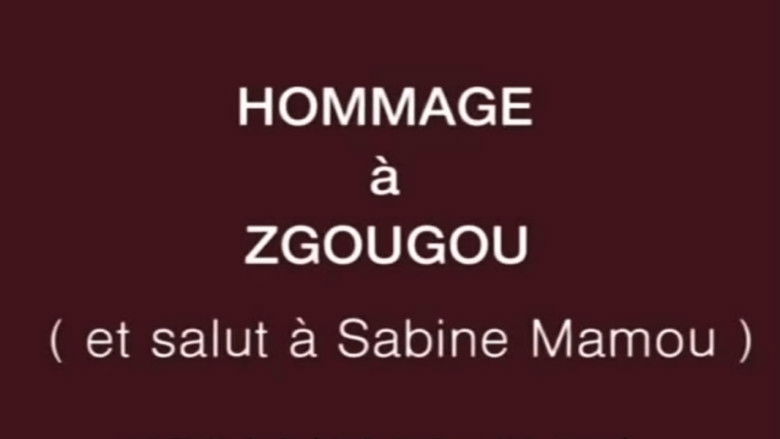 кадр из фильма Hommage à Zgougou (et salut à Sabine Mamou)
