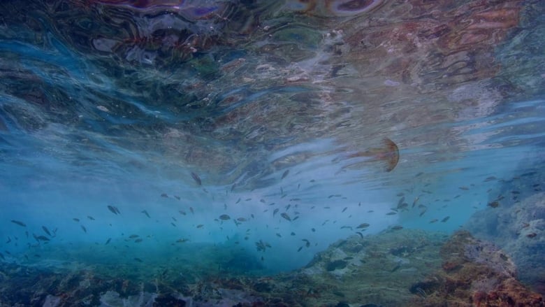 кадр из фильма Жизнь в синеве