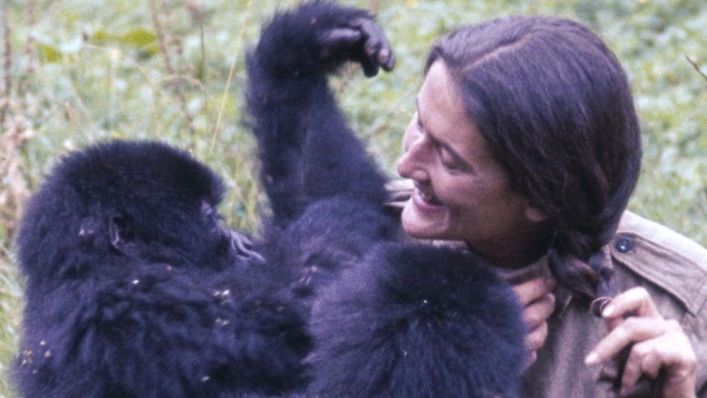 кадр из фильма Dian Fossey: Ihr Leben für die Gorillas