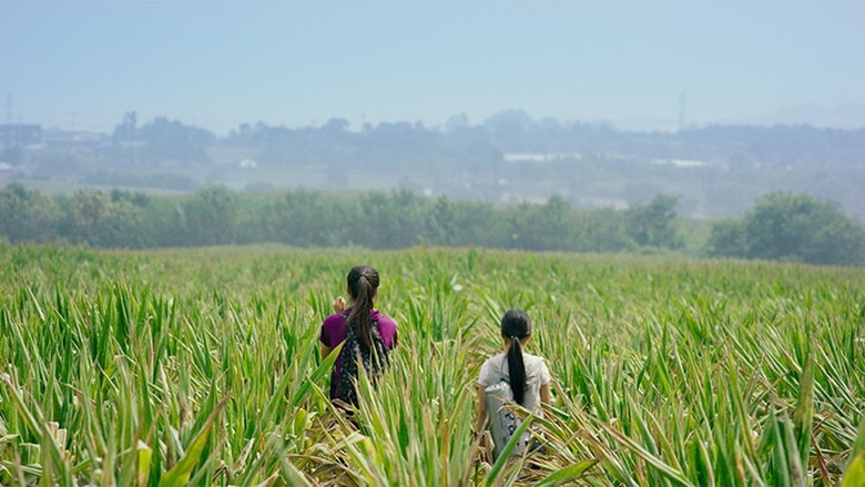 кадр из фильма 재꽃