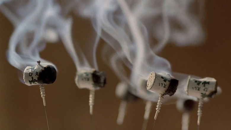 кадр из фильма Аромат зеленой папайи