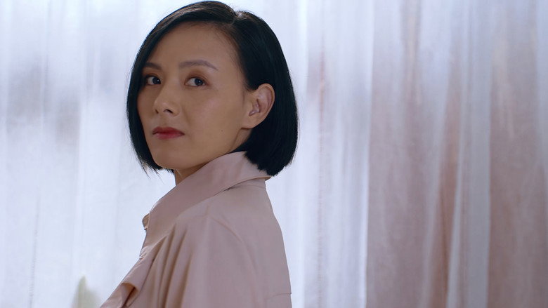 未来之心