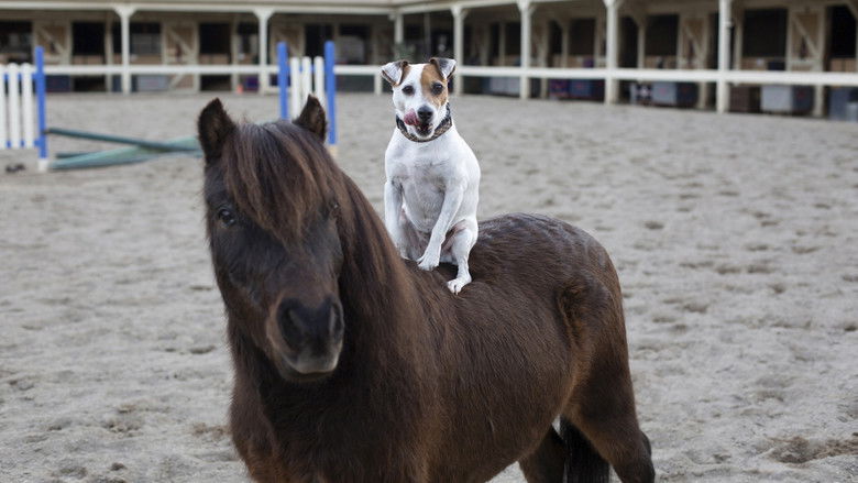 кадр из фильма Приключения Долли и Спанки