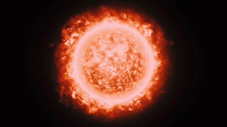 кадр из фильма Наше яростное Солнце