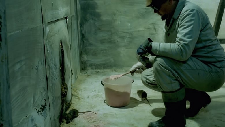 кадр из фильма Szczurołap