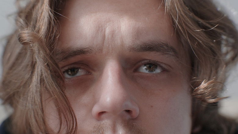 кадр из фильма Stumbling Home