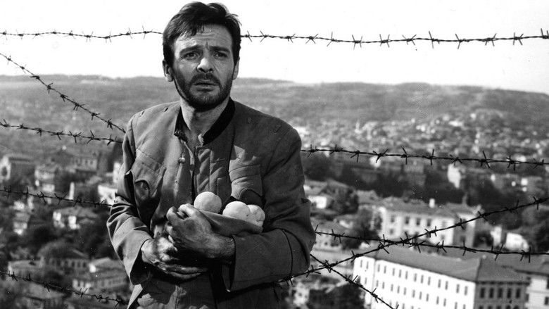 кадр из фильма Похититель персиков