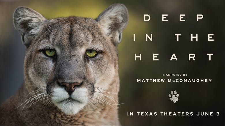 кадр из фильма Deep in the Heart: A Texas Wildlife Story