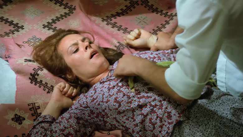 кадр из фильма Firar