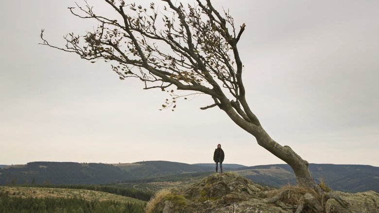 кадр из фильма Нимфоманка: Часть 2