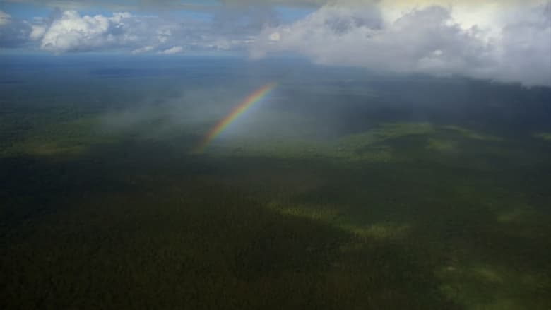 кадр из фильма Big River Man