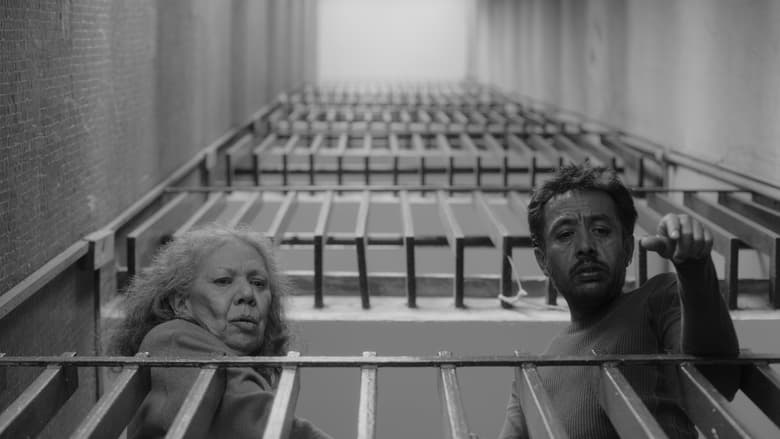 кадр из фильма No Nos Moverán