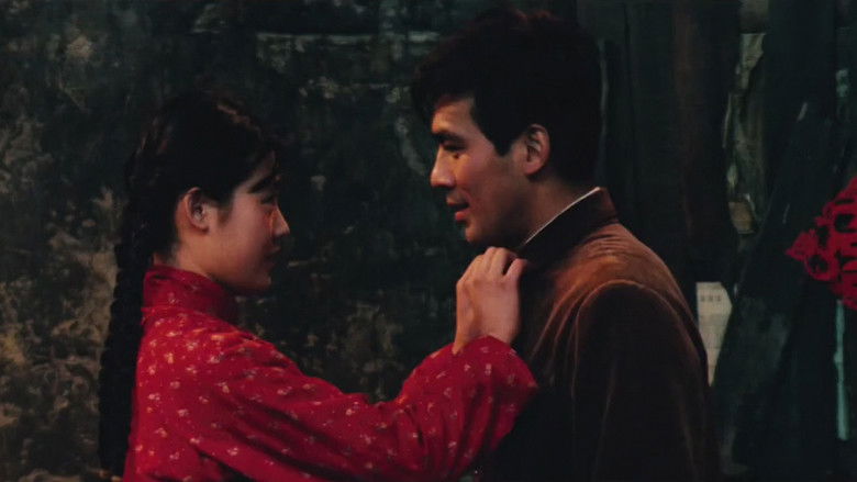 кадр из фильма 牧马人