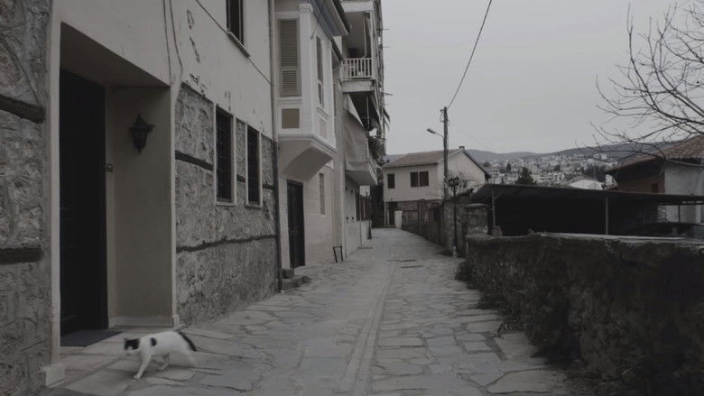 кадр из фильма ΤΟ ΤΑΞΑΚΙ