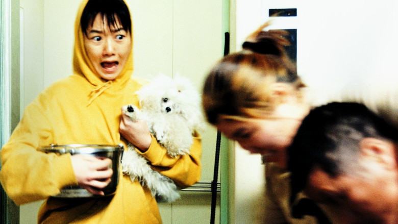 кадр из фильма Лающие собаки никогда не кусают