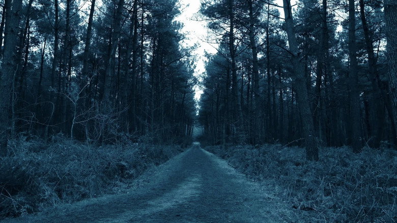 кадр из фильма Void Madness