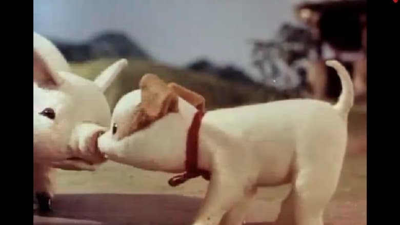 кадр из фильма 喵呜是谁叫的