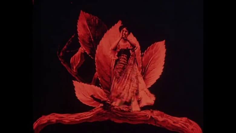 кадр из фильма Métamorphoses du papillon