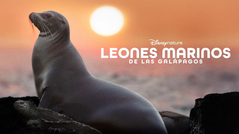 кадр из фильма Sea Lions of the Galapagos