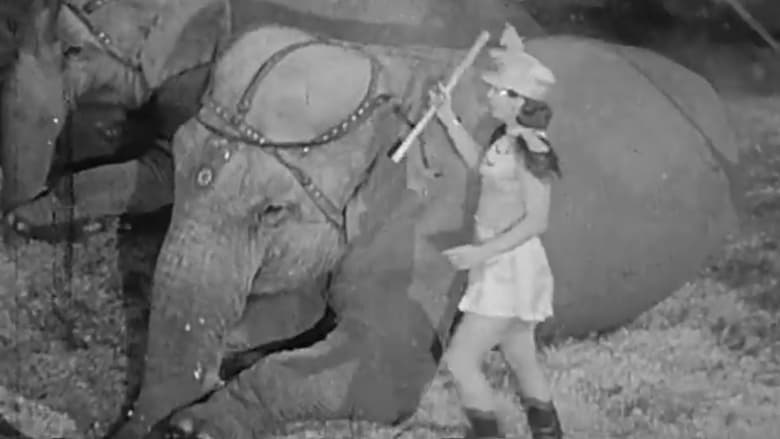 кадр из фильма Here Comes the Circus