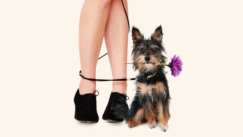 кадр из фильма Пес-купидон