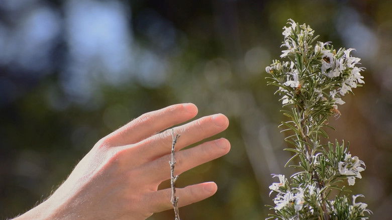 кадр из фильма Single Blind
