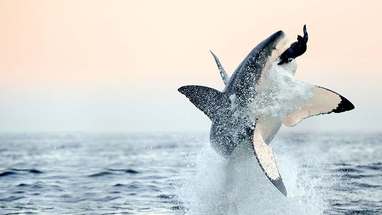 кадр из фильма Air Jaws: Back from the Dead