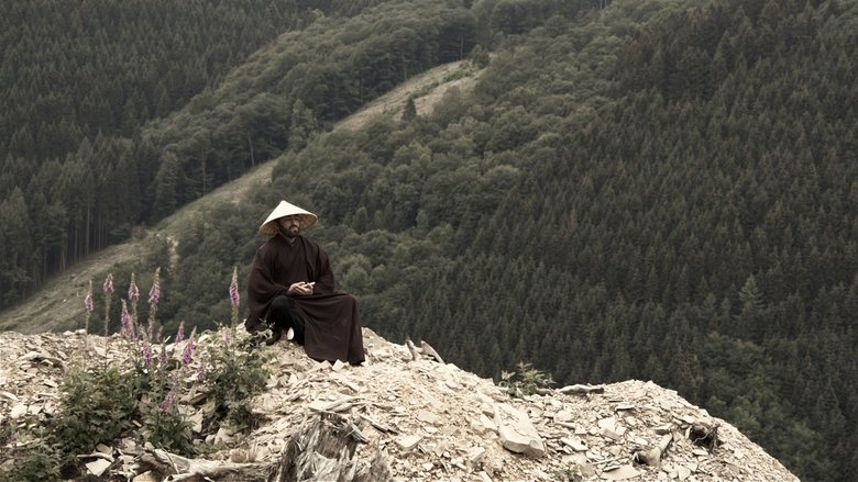 кадр из фильма Der Reisende