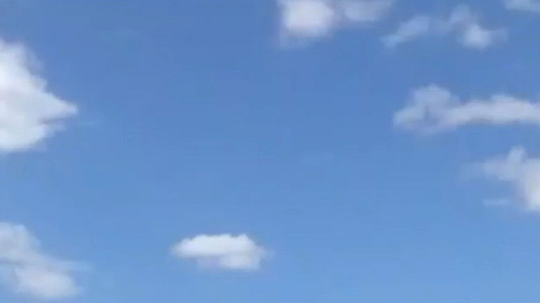 кадр из фильма What is a movie?