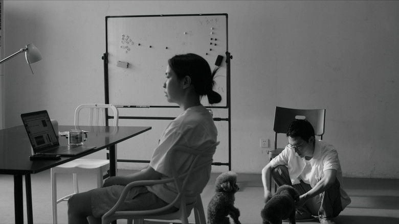 кадр из фильма 大概前12天